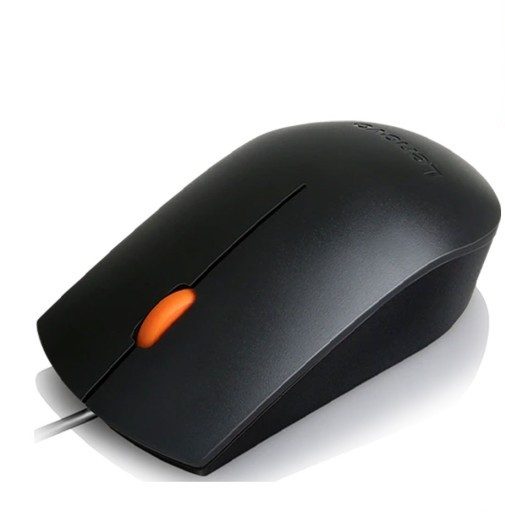 LENOVO 300 USB MOUSE
